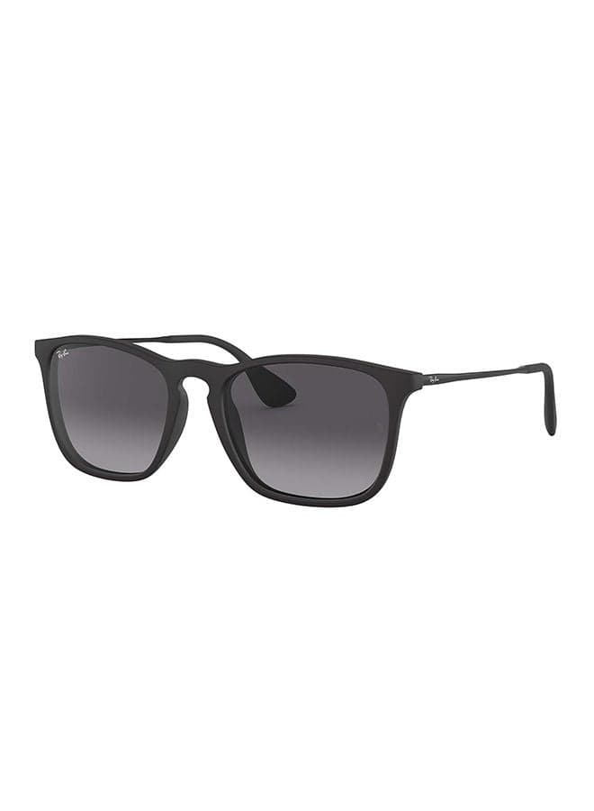 Ray-Ban Wayfarer Sunglasses RB4187 - AED 300