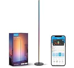 Govee RGBIC Floor Lamp with Alexa