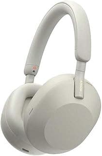 Sony WH-1000XM5 Headphones (Silver)