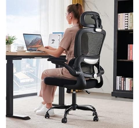 Ergonomic Office Chair with Lumbar Support