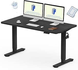 FlexiSpot EN1 Electric Standing Desk